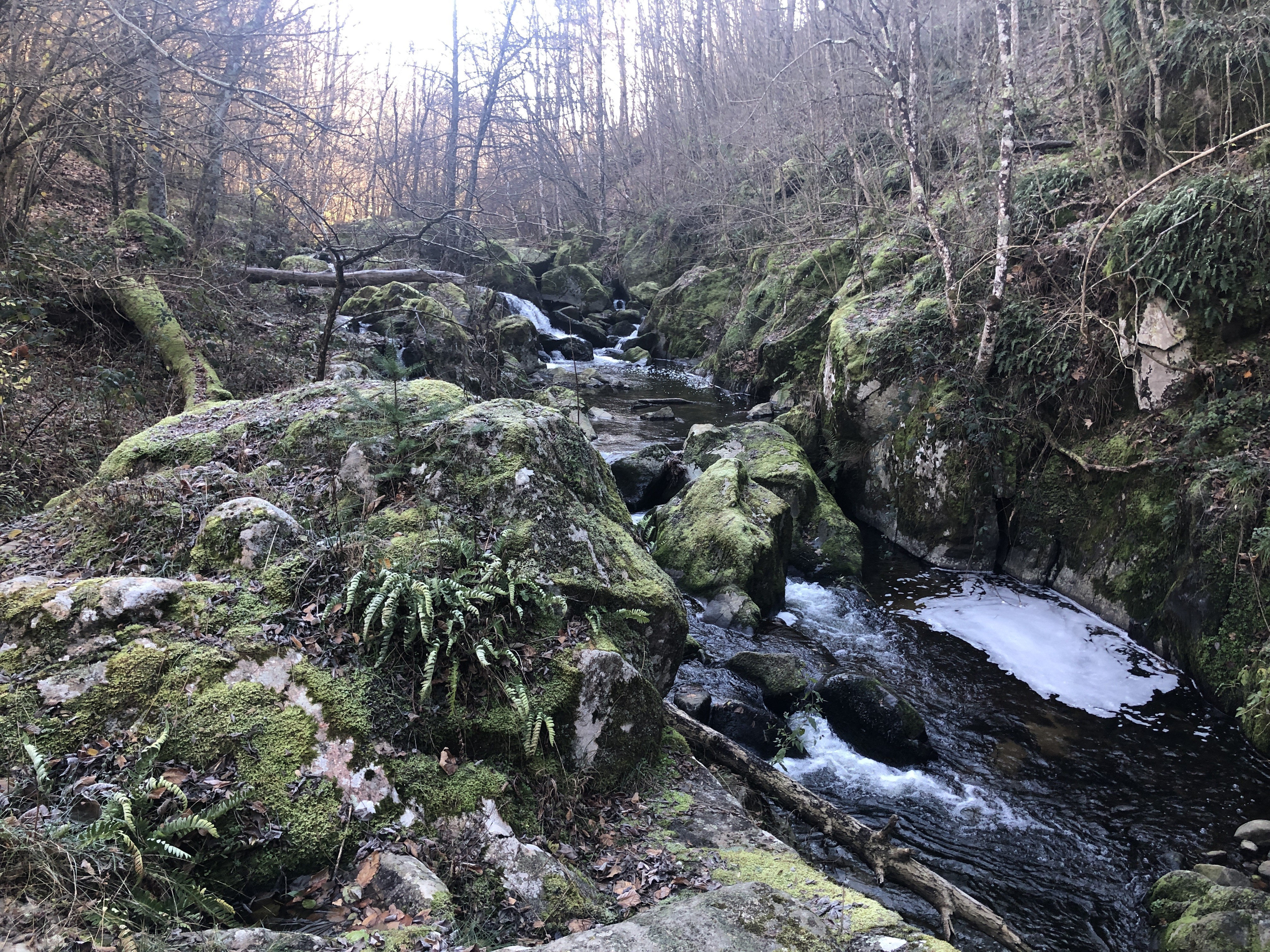 Les rapides sous le hameau de Chamblard