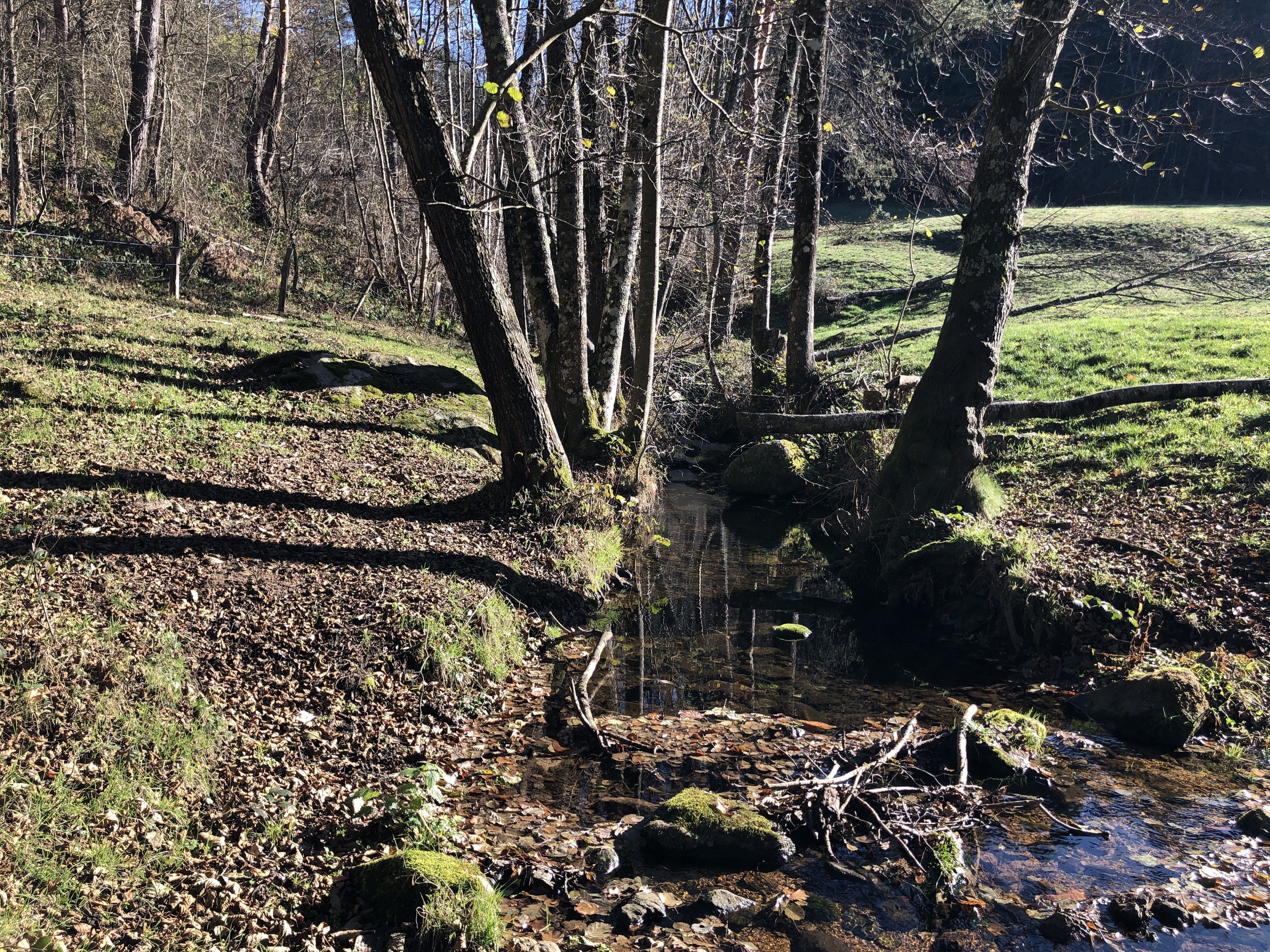 Le ruisseau de Saint-Genest se jette dans le Grozon