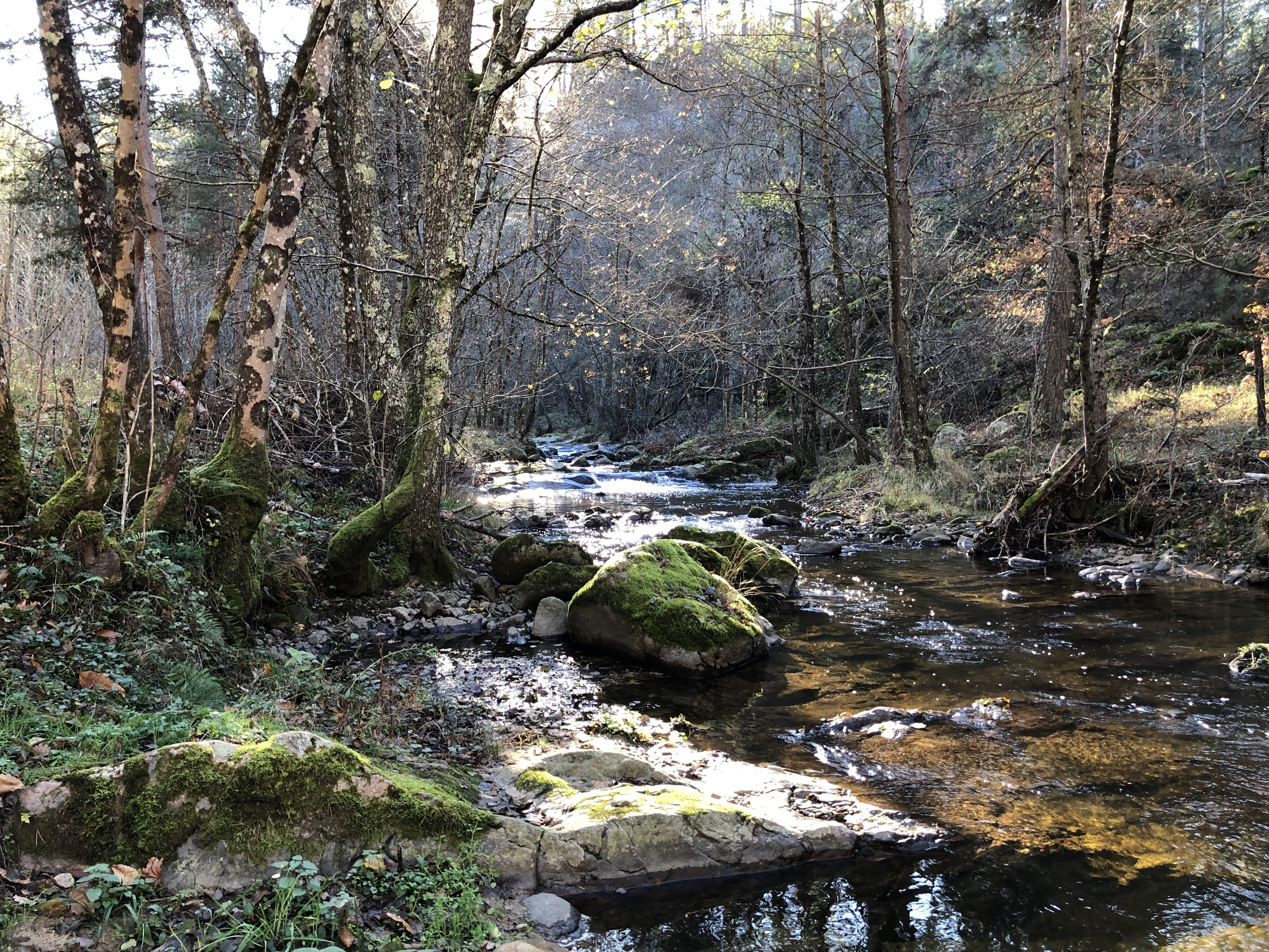 Le Grozon s'approche du Moulin de la Garde