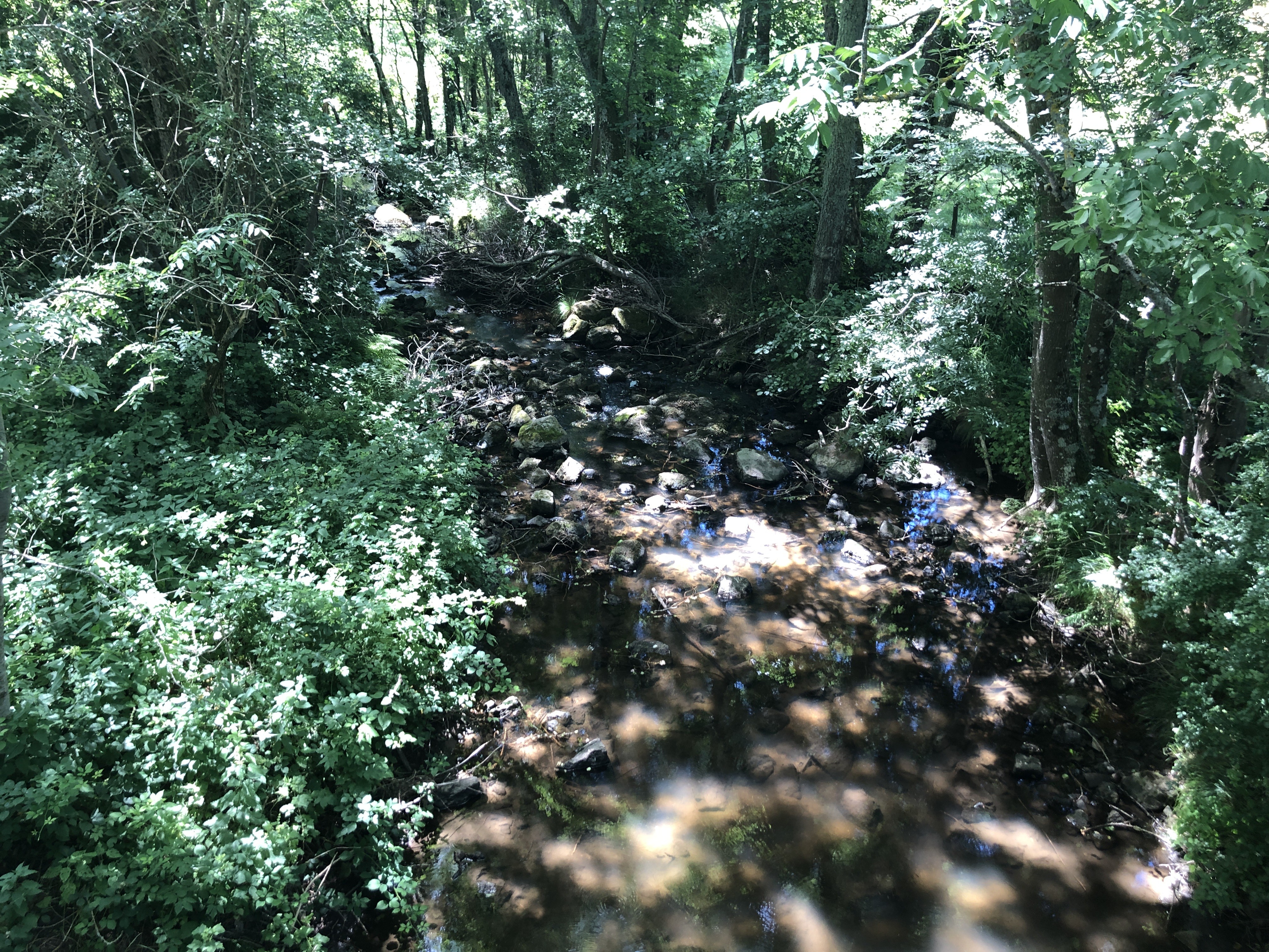 Le Grozon au pont de la Combe, à Grozon