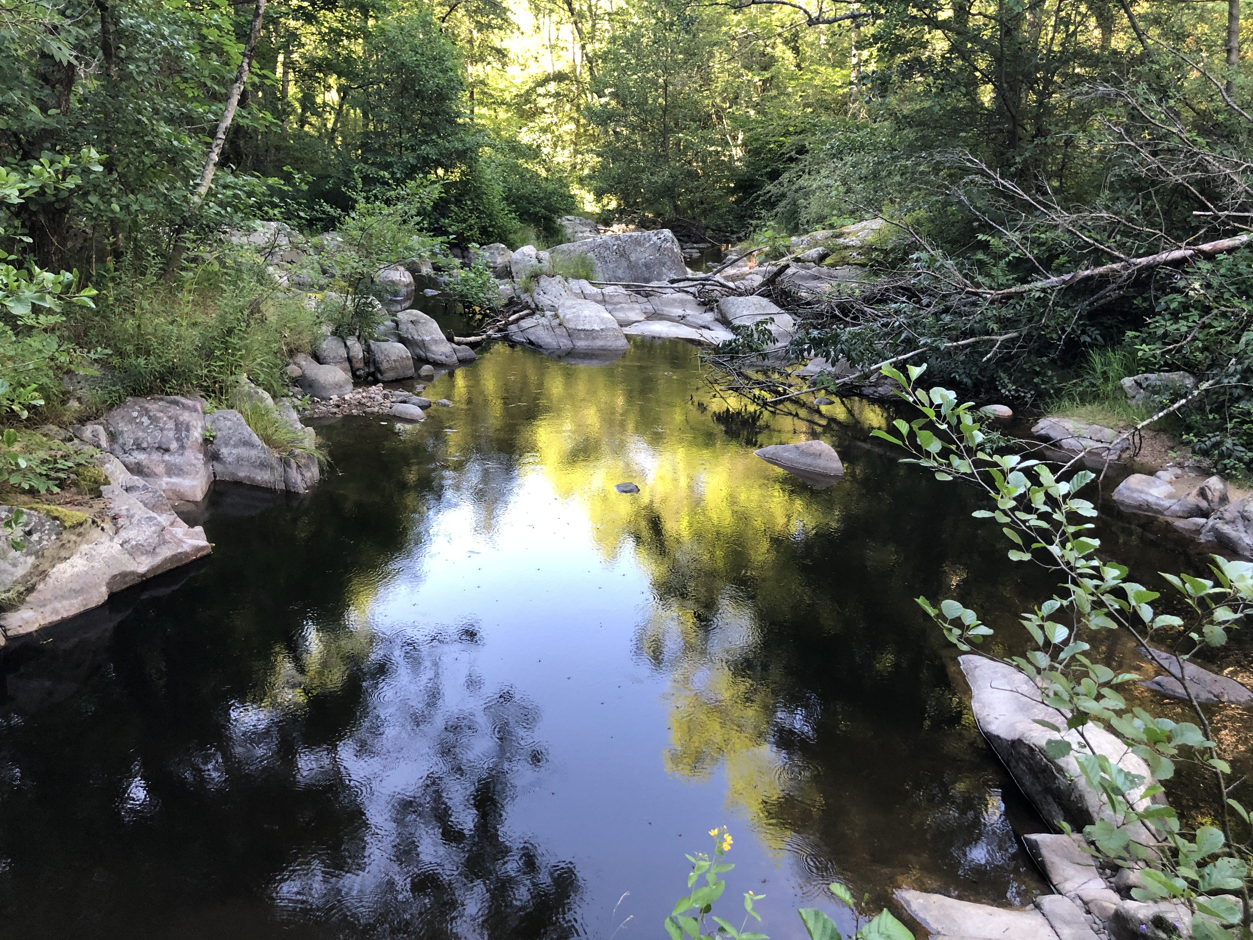 Piscine sous les Bruyères, en aval du défilé