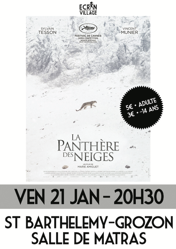 01 affiche la panthere des neiges 21 jan 22