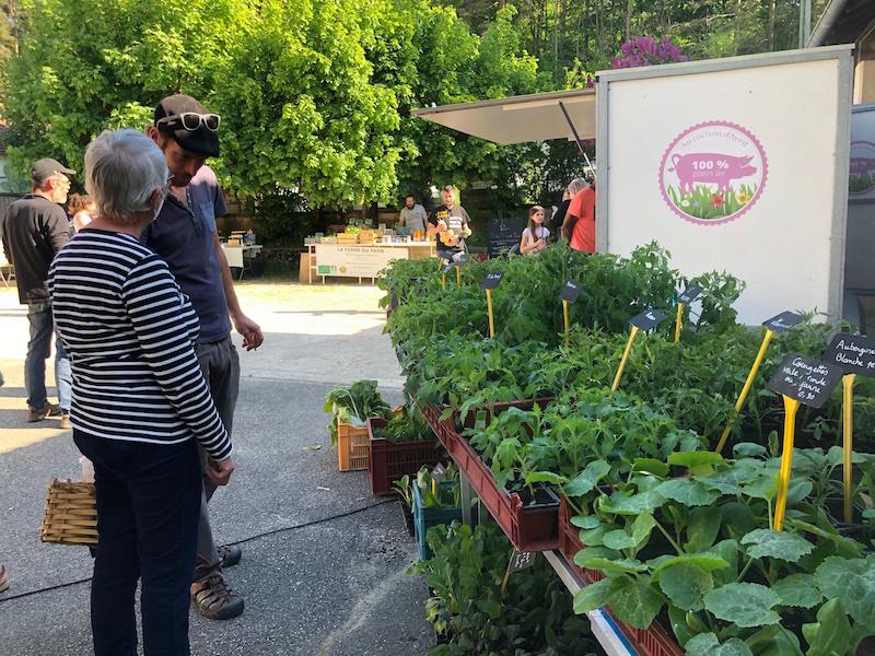 01 vendeur de plants de le gumes copie