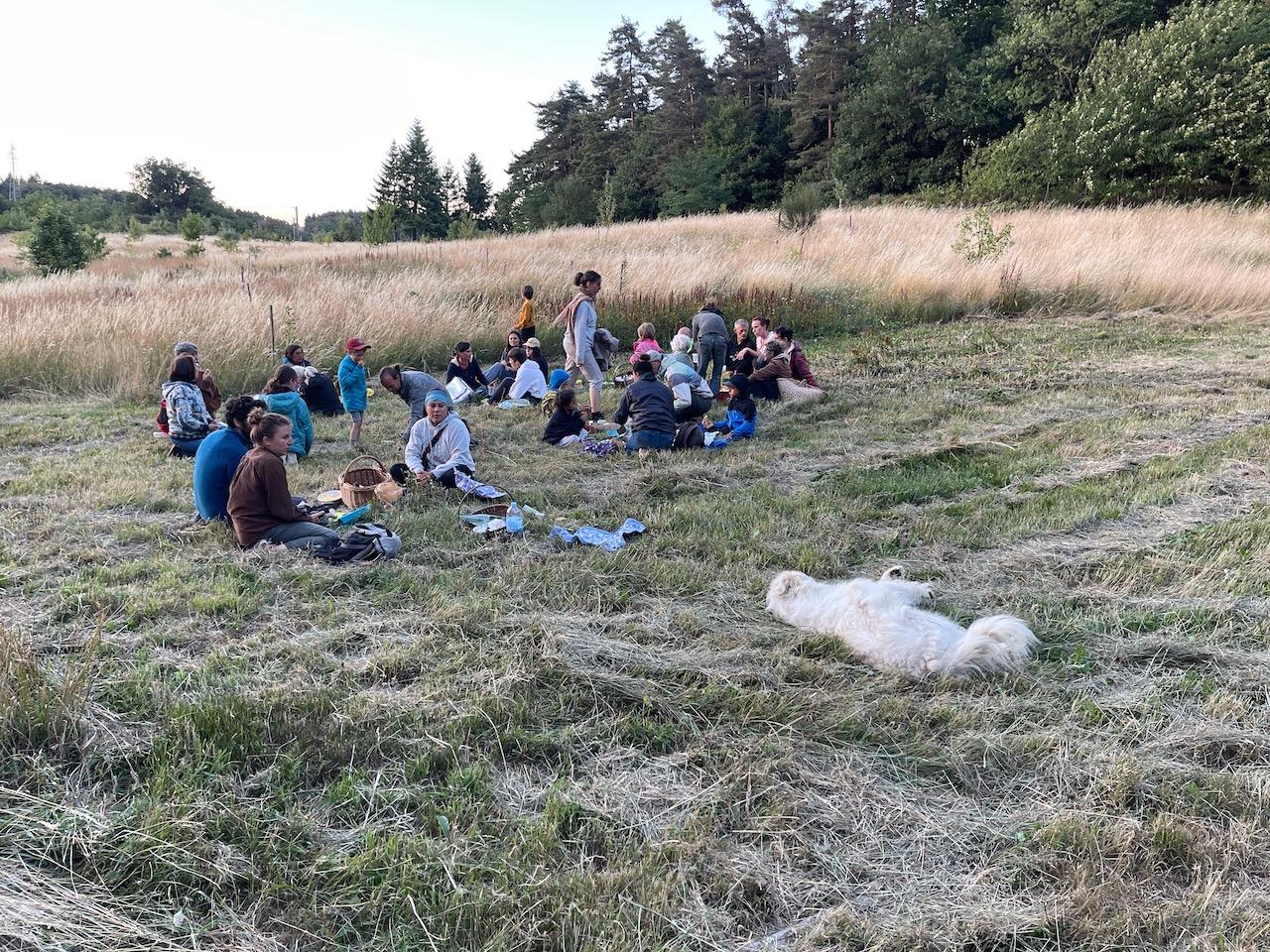 Le convivial pique-nique au crépuscule