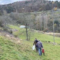 En approche du nid de Tracol