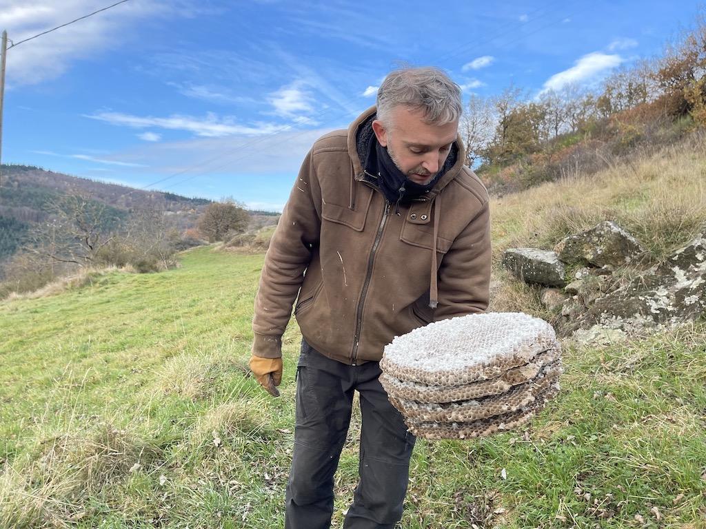 La structure interne en plateaux d'alvéoles