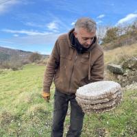 La structure interne en plateaux d'alvéoles