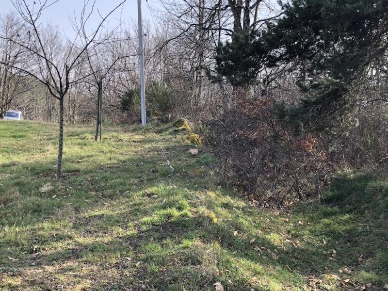 22 chemin de la pigne le mur de broussailles