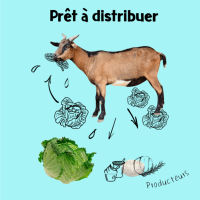 Achetez local pret a distribuer