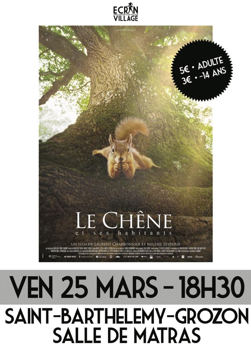 Affiche le chene