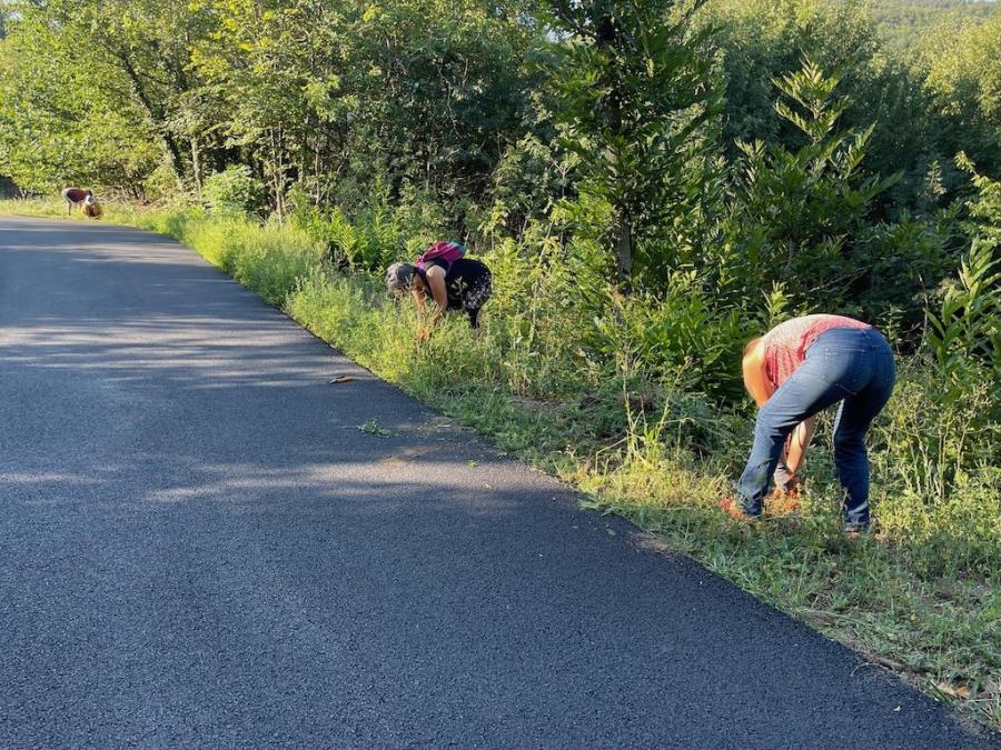 Arrachage du 11 chemin de mazeyrac