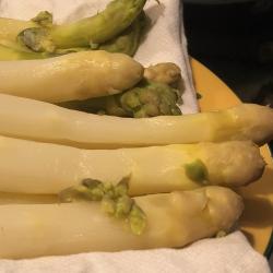 Asperges