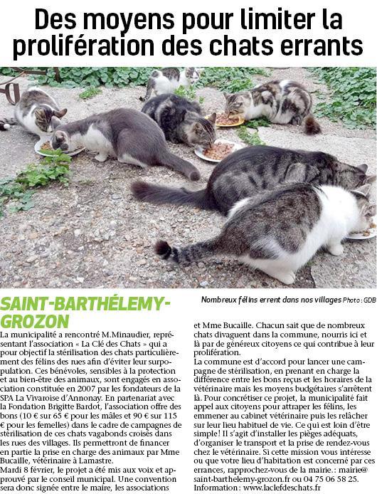 Campagne chats errants 10 fev 22