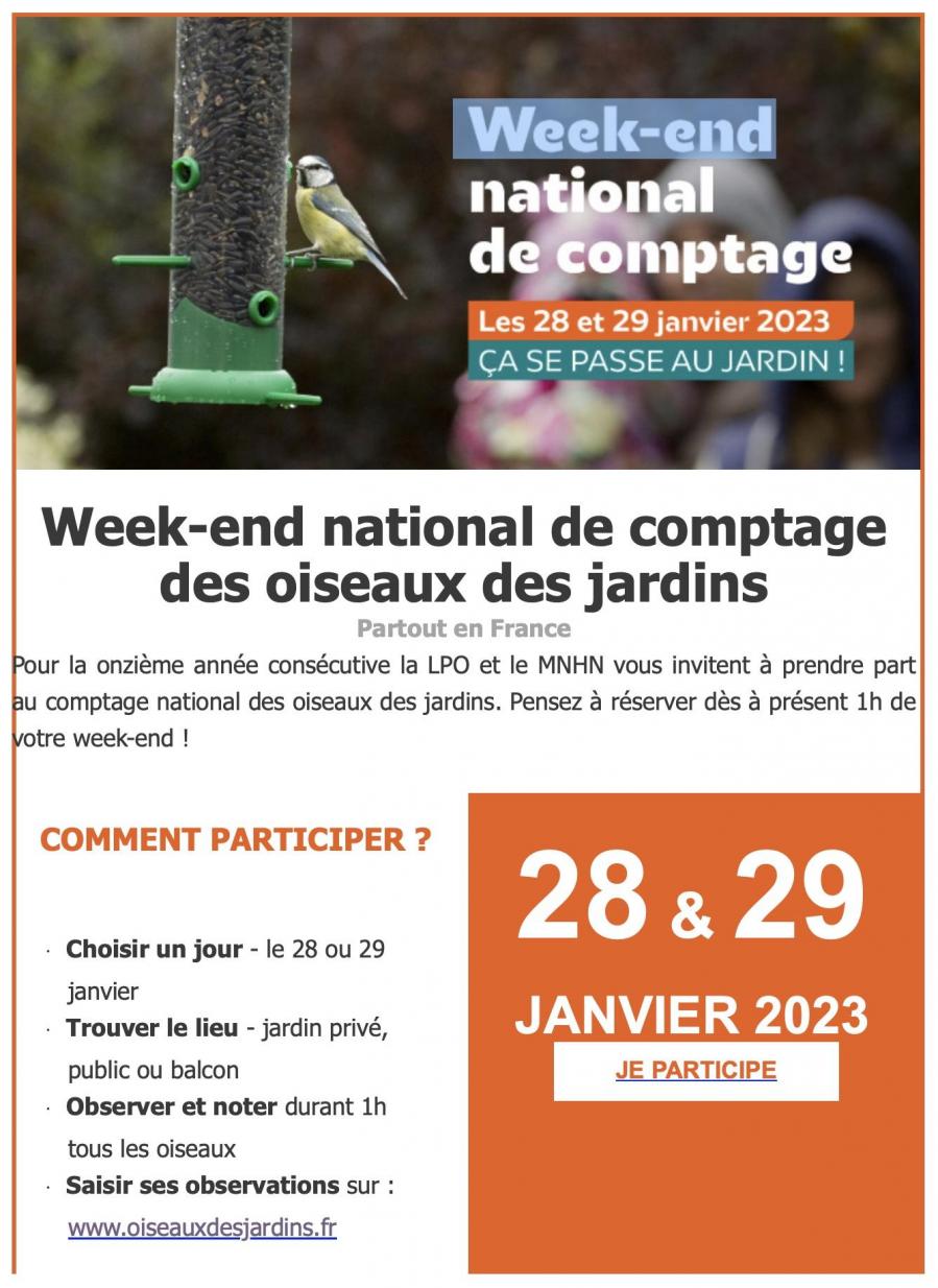 Comptage des oiseaux 28 jan 23