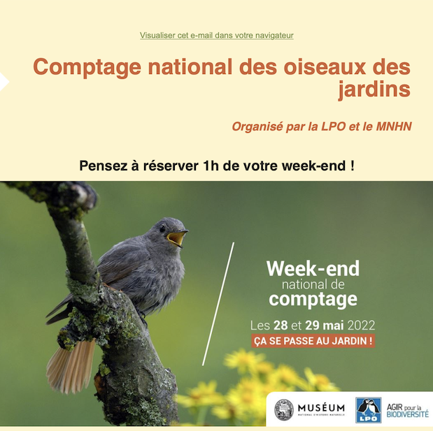 Comptage national des oiseaux 28 mai 22