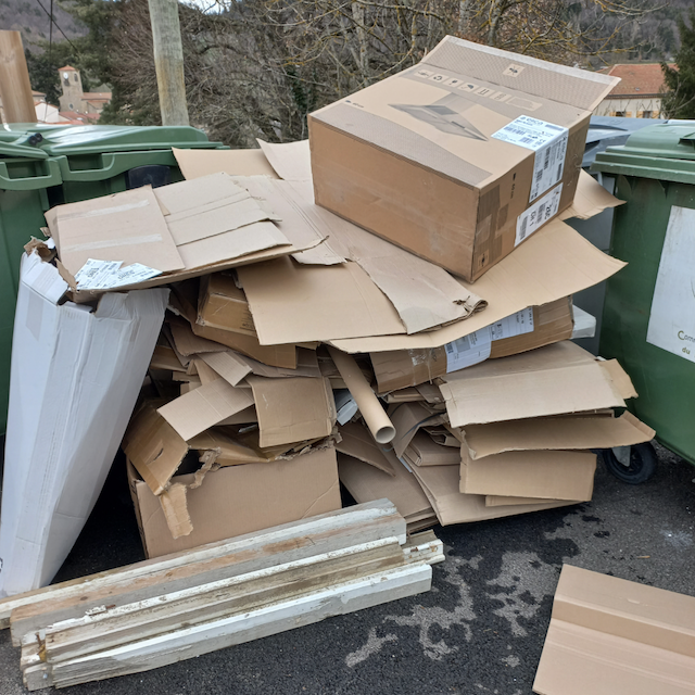 De pots sauvages de cartons dans nos de chetteries