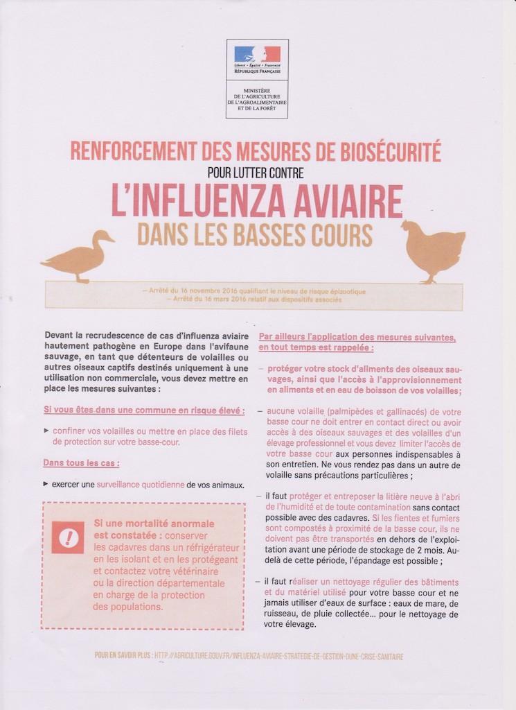 Grippe aviaire document ministe re 06 nov 20