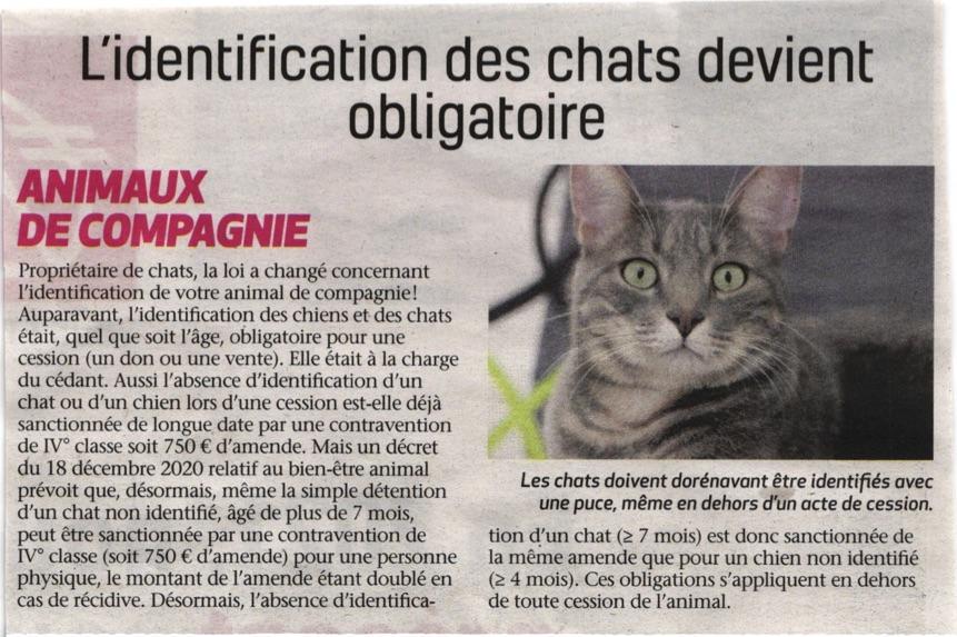 Identification des chats hebdo arde che 14 jan 21