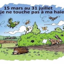 Ne taillons pas les haies apre s le 15 mars carre e